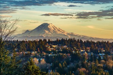 Rainier Dağı üzerindeki bulutların manzarası ve önplanda ağaçlar..
