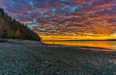 Washington 'da gün batımında Puget Sound' un üzerinde bir bulut tabakası süzülüyor..