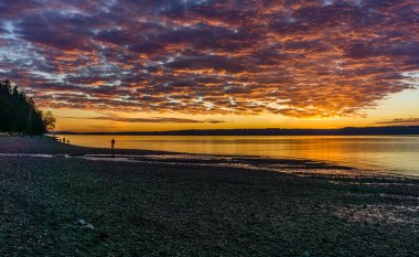 Washington 'da gün batımında Puget Sound' un üzerinde bir bulut tabakası süzülüyor..