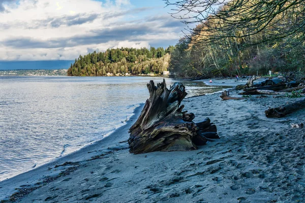 Partvonal Dash Point Washington Télen — Stock Fotó