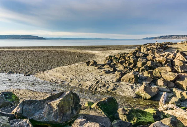 Den Steniga Strandlinjen Vid Saltwater State Park Des Moines Washington — Stockfoto