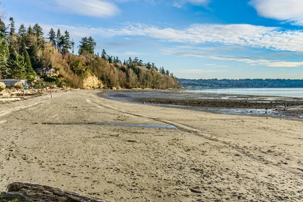 Washington, Des Moines 'teki Saltwater State Park' ın kıyı şeridi..
