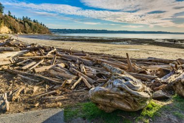 Washington, Des Moines 'teki Saltwater State Park' ın kıyı şeridi..