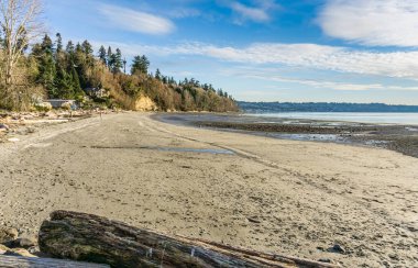 Washington, Des Moines 'teki Saltwater State Park' ın kıyı şeridi..