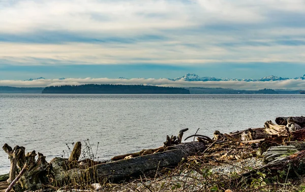 Горы Возвышаются Над Заливом Пьюджет Штате Вашингтон — стоковое фото