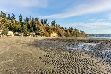 Washington, Des Moines 'teki Saltwater State Park' ın kıyı şeridi..
