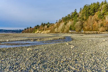 Washington eyaletindeki Satlwater Eyalet Parkı 'nda bir dere kıyıya akıyor..