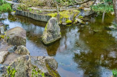 Yağmur damlaları Seatac, Washington 'da küçük bir gölete düştü..