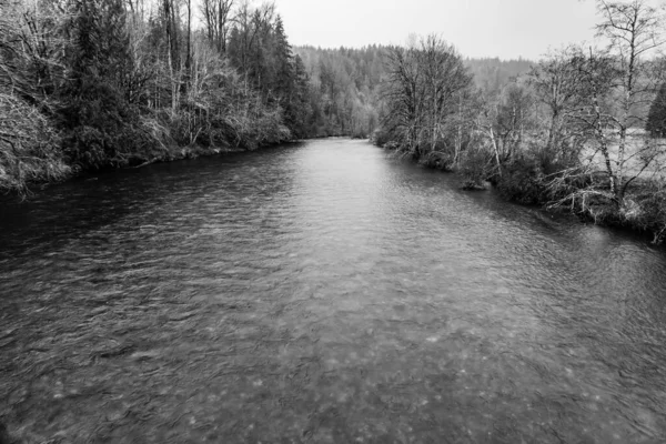Tavasz Green River Mentén Washington Államban — Stock Fotó