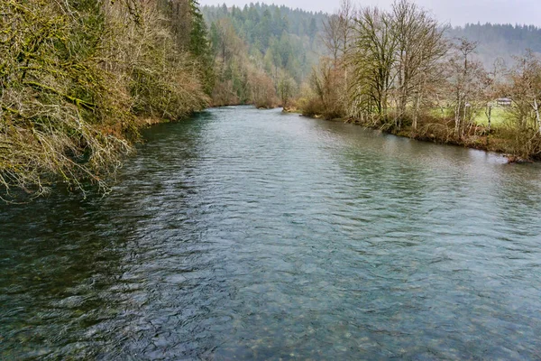 Frühling Green River Bundesstaat Washington — Stockfoto