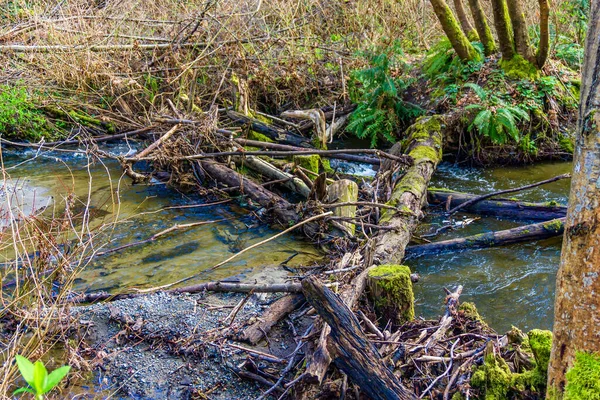 Una Pila Madera Dea Des Moines Creek Estado Washington — Foto de Stock