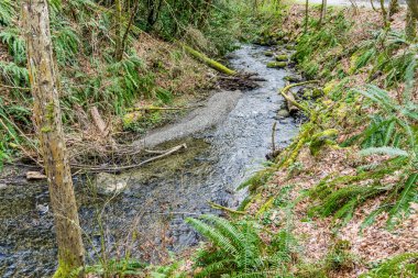 Yukarı Des Moines Deresi, Des Moines, Washington.