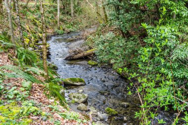 Yukarı Des Moines Deresi, Des Moines, Washington.