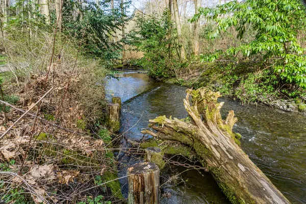 Pequeño Arroyo Des Moines Washington —  Fotos de Stock