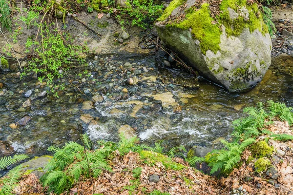 Vista Detallada Upper Des Moines Creek Des Moines Washington — Foto de Stock