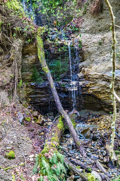 Ein Kleiner Wasserfall Neben Des Moines Creek Bundesstaat Washington — Stockfoto