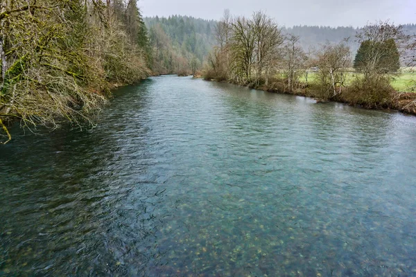 Frühling Green River Bundesstaat Washington — Stockfoto