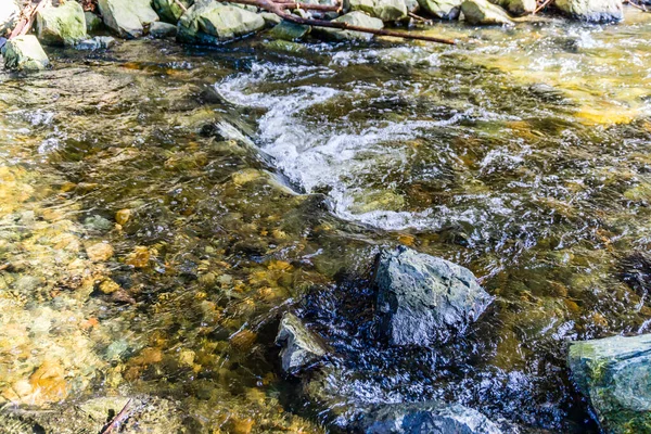 Des Moines Creek Estado Washington Fluye Por Debajo Por Encima —  Fotos de Stock