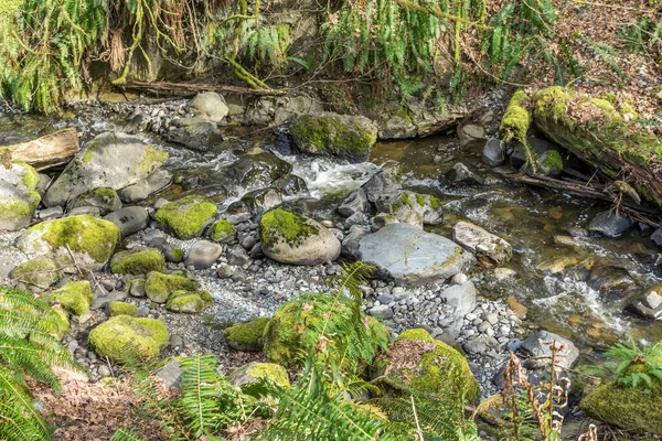 Des Moines Creek Estado Washington Fluye Sobre Rocas — Foto de Stock