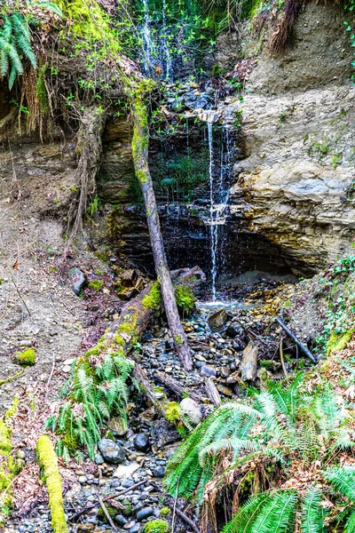 Ένας Μικρός Καταρράκτης Δίπλα Στο Des Moines Creek Στην Πολιτεία — Φωτογραφία Αρχείου