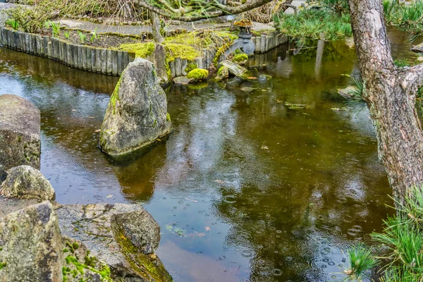 Gotas Chuva Atingiram Uma Pequena Lagoa Seatac Washington — Fotografia de Stock