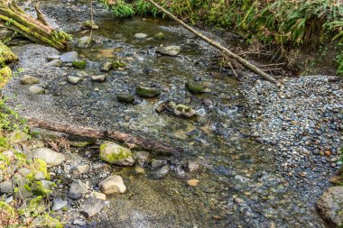 Washington 'daki Des Moines Creek Kayaların üzerinden akıyor.