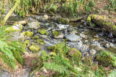 Washington 'daki Des Moines Creek Kayaların üzerinden akıyor.