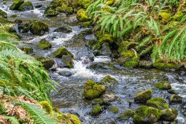 Washington 'daki Des Moines Creek Kayaların üzerinden akıyor.