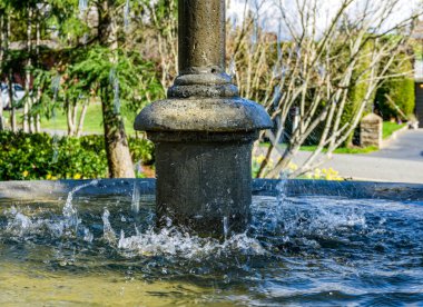 Normandiya Parkı, Washington 'daki bir çeşmenin makro çekimi..