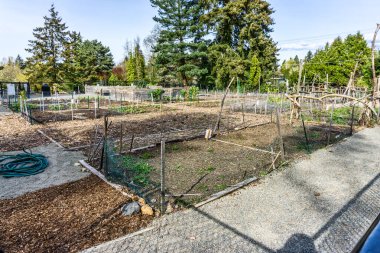Baharın başlarında Washington, Seatac 'ta bir halk bahçesi..