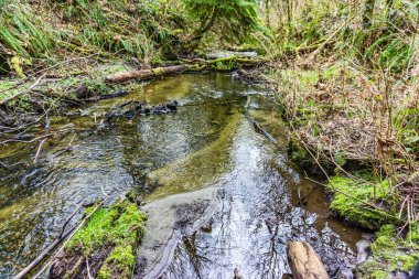 Yukarı Des Moines Deresi, Des Moines, Washington.