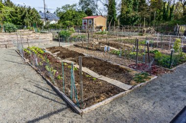 Baharın başlarında Washington, Seatac 'ta bir halk bahçesi..