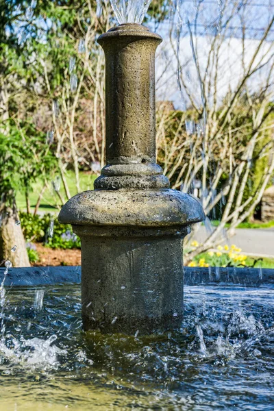 Normandiya Parkı, Washington 'daki bir çeşmenin makro çekimi..