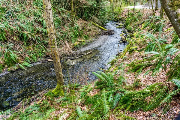 Yukarı Des Moines Deresi, Des Moines, Washington.