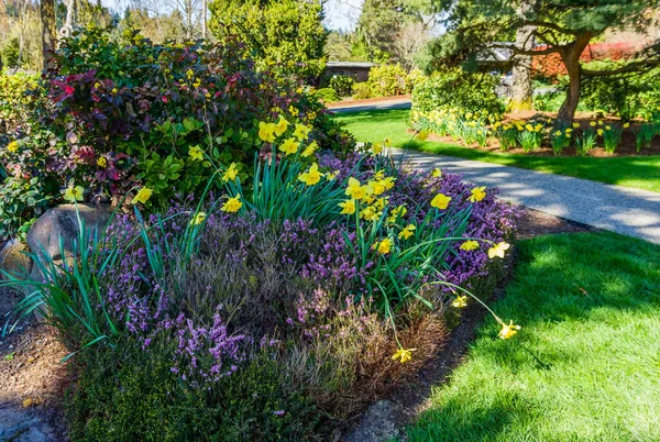 Сад Lush Spring Нормандії Парк Вашингтон — стокове фото