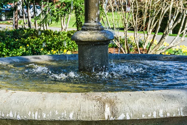 Normandiya Parkı, Washington 'daki bir çeşmenin makro çekimi..