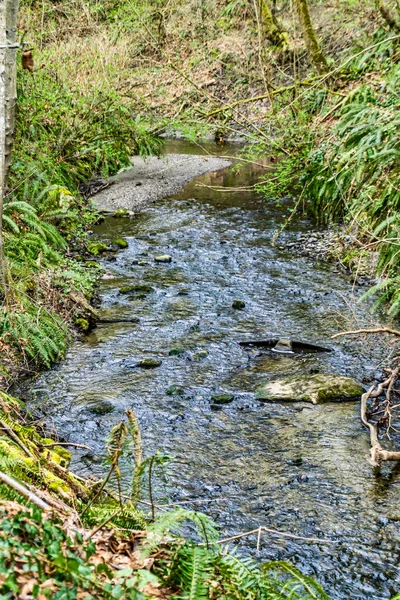 Boven Des Moines Creek Des Moines Washington — Stockfoto