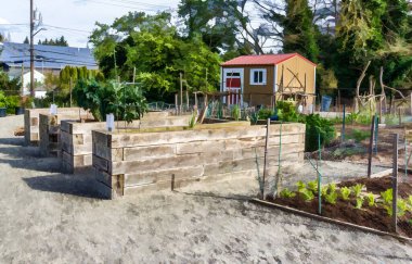 Seatac, Washington 'daki bir halk bahçesindeki büyük ahşap ekicilerin resmi..