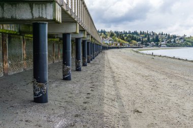 Washington, Redondo Sahili 'nin tahta kaldırımının altında sular çekildiğinde..