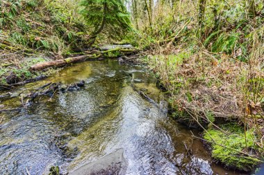 Yukarı Des Moines Deresi, Des Moines, Washington.