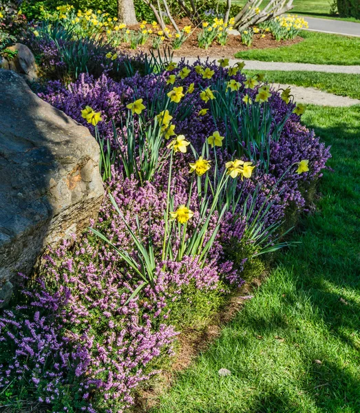 Сад Lush Spring Нормандії Парк Вашингтон — стокове фото