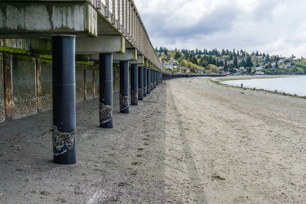 Washington, Redondo Sahili 'nin tahta kaldırımının altında sular çekildiğinde..