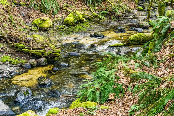 ワシントン州のデモイン クリークが岩の上を流れている — ストック写真