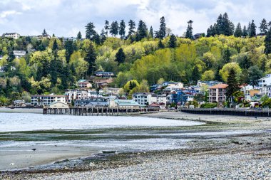 Redondo Sahili 'nin merkezi, Washington..