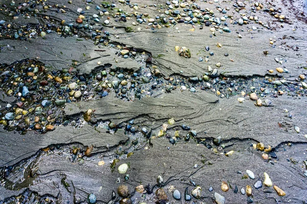Macro Shot Shoreline Sand Rocks Redondo Beach Washington — Fotografia de Stock