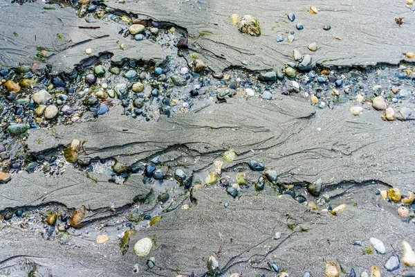 华盛顿州Redondo海滩海岸沙滩和岩石的宏观照片 — 图库照片