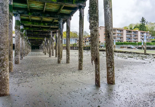 Redondo Beach, Washington 'daki iskelenin altında. Gelgit azaldı..