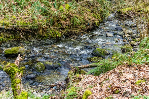 Washington 'daki Des Moines Creek Kayaların üzerinden akıyor.