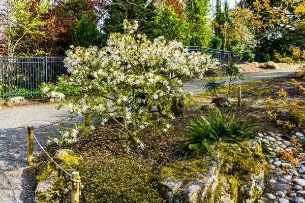 Jardín Japonés Seatac Washington — Foto de Stock