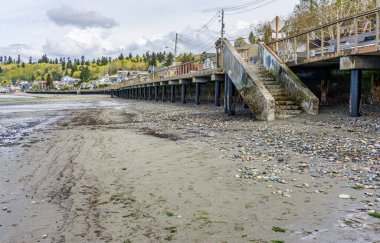 Redondo Beach, Washington 'daki sahil yürüyüşünün manzara görüntüsü..